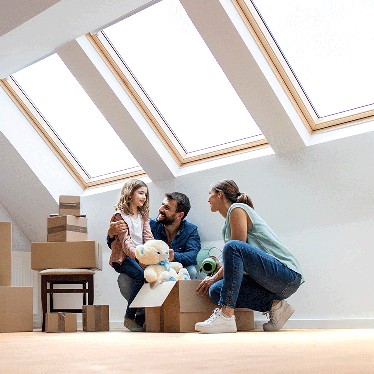 Dachfenster einbauen lassen Rhein Neckar, Odenwald